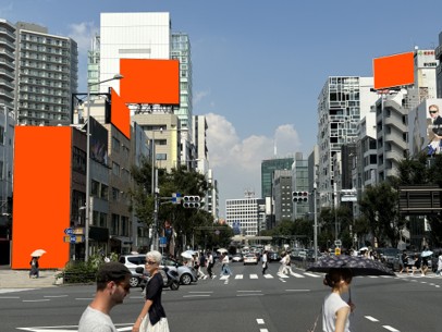 OMOTESANDO DELUXE PACKAGE