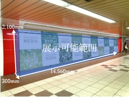 展示展開
