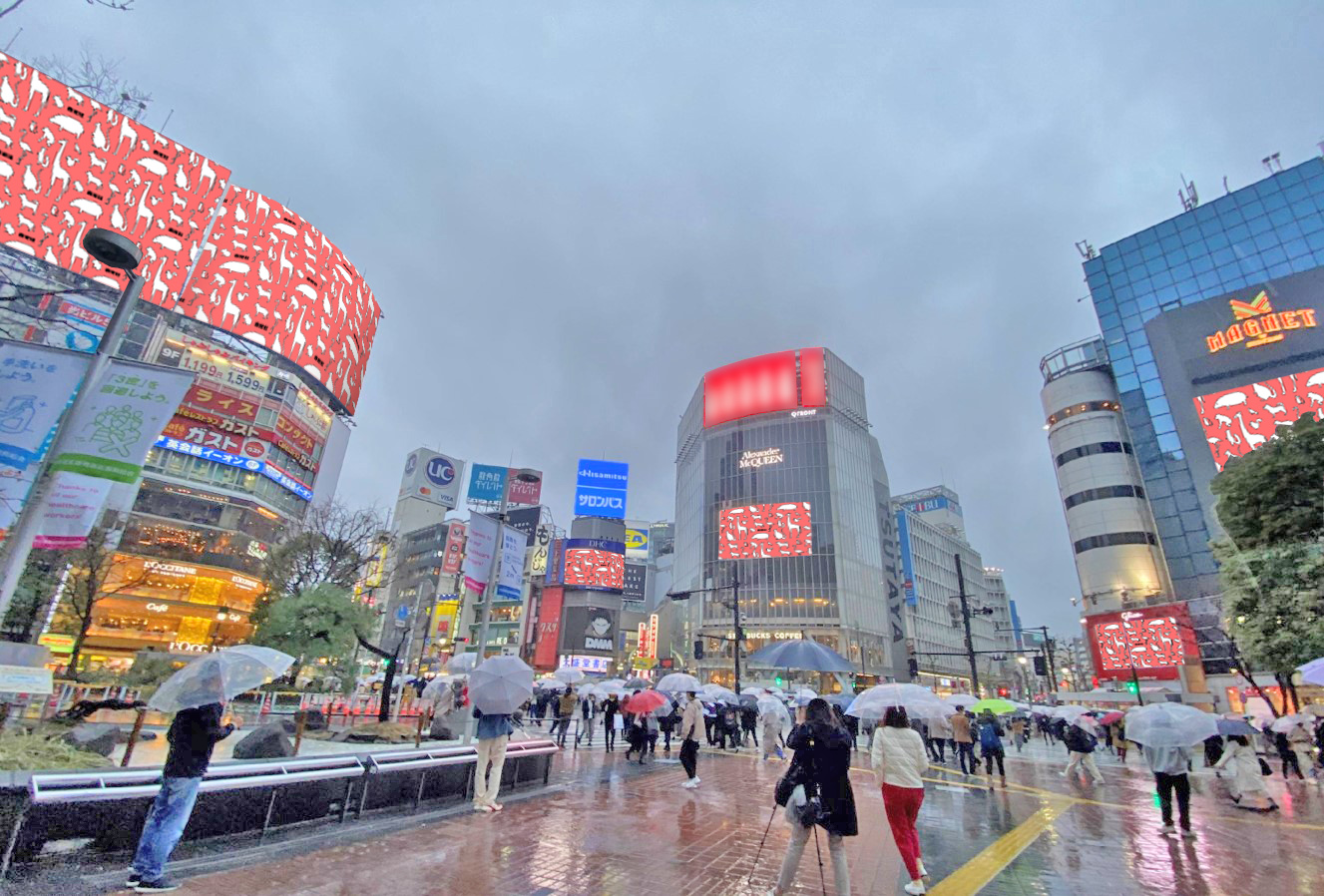 渋谷6面シンクロ