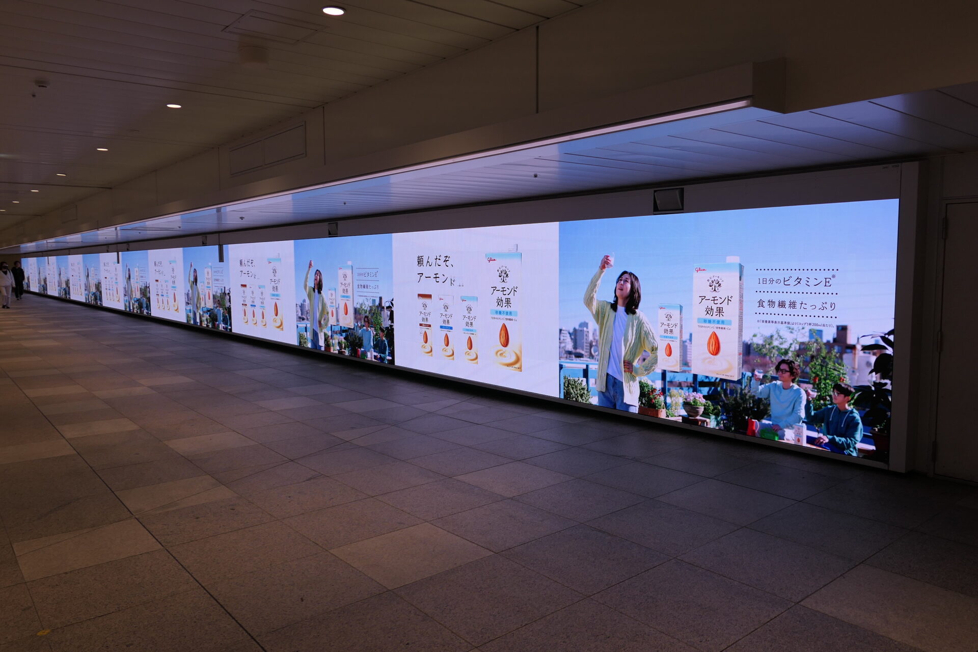 新宿ウォール456