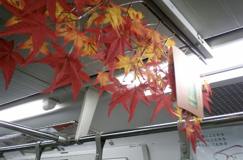 プラスチックで作った紅葉を掲出