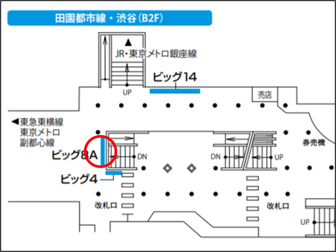 東急田都ビッグ8A地図