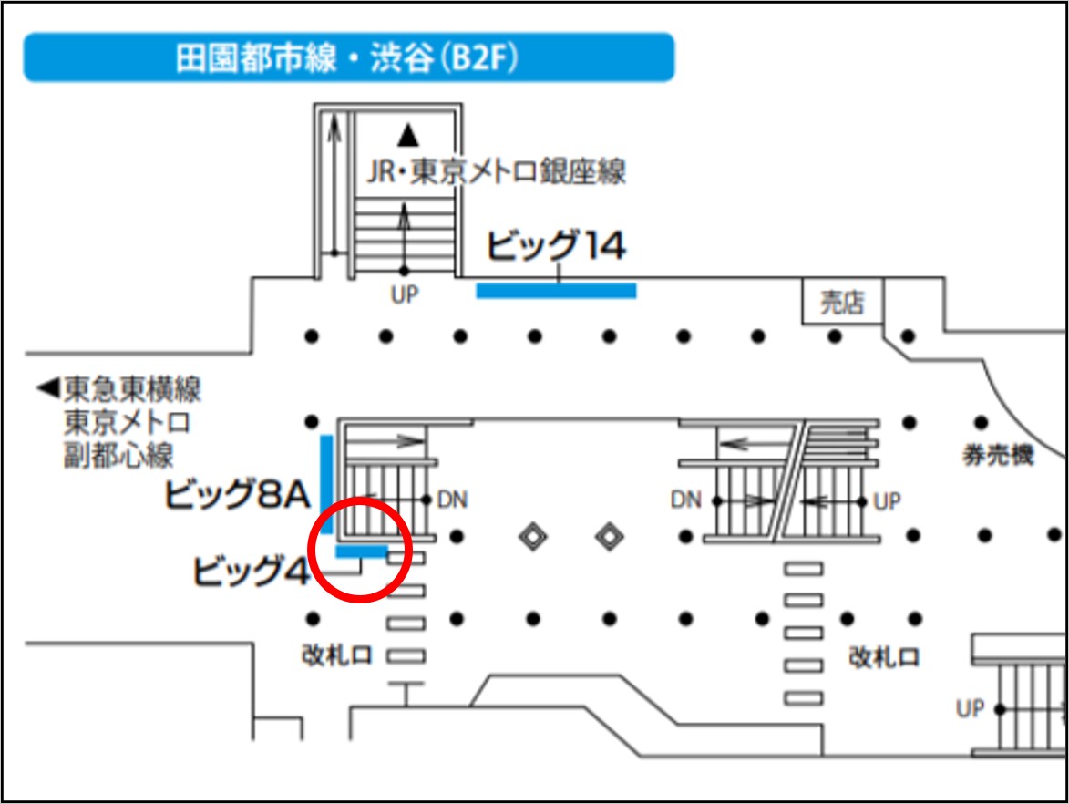 東急田都ビッグ4地図