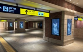 横浜駅西口地下通路