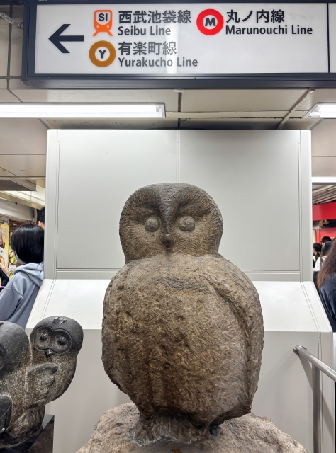いけふくろう