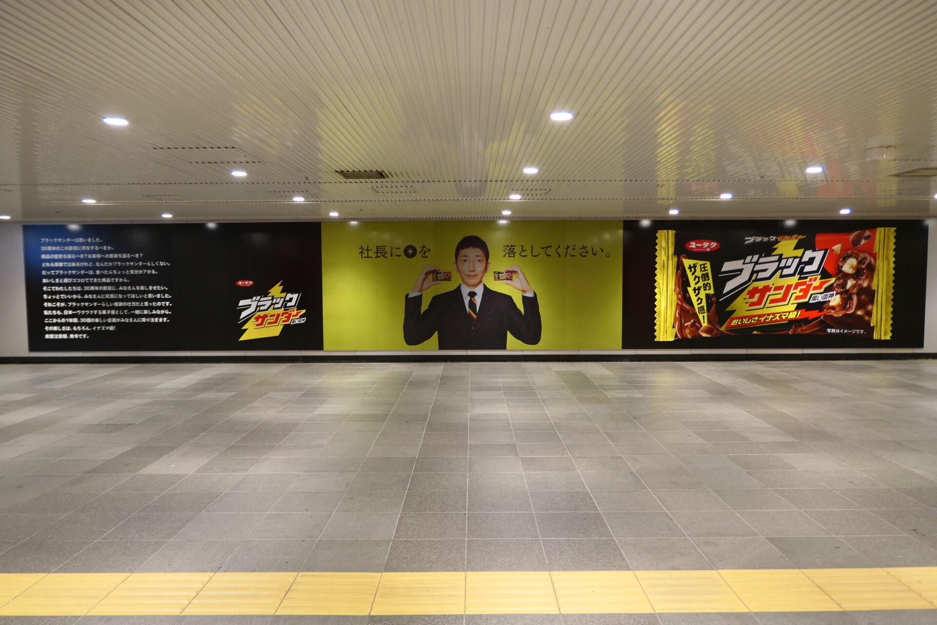 フラッシュプリント媒体