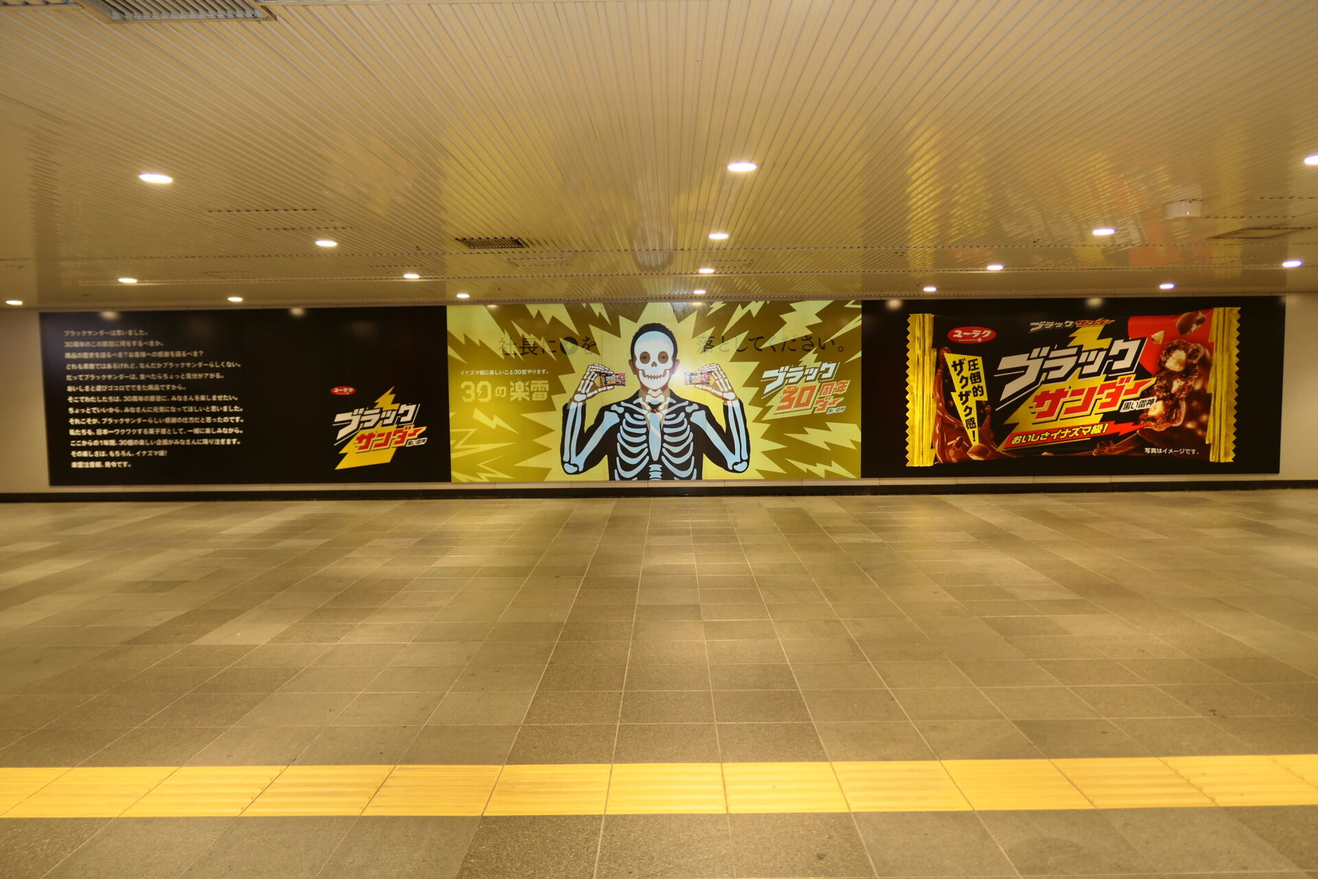 フラッシュプリント媒体