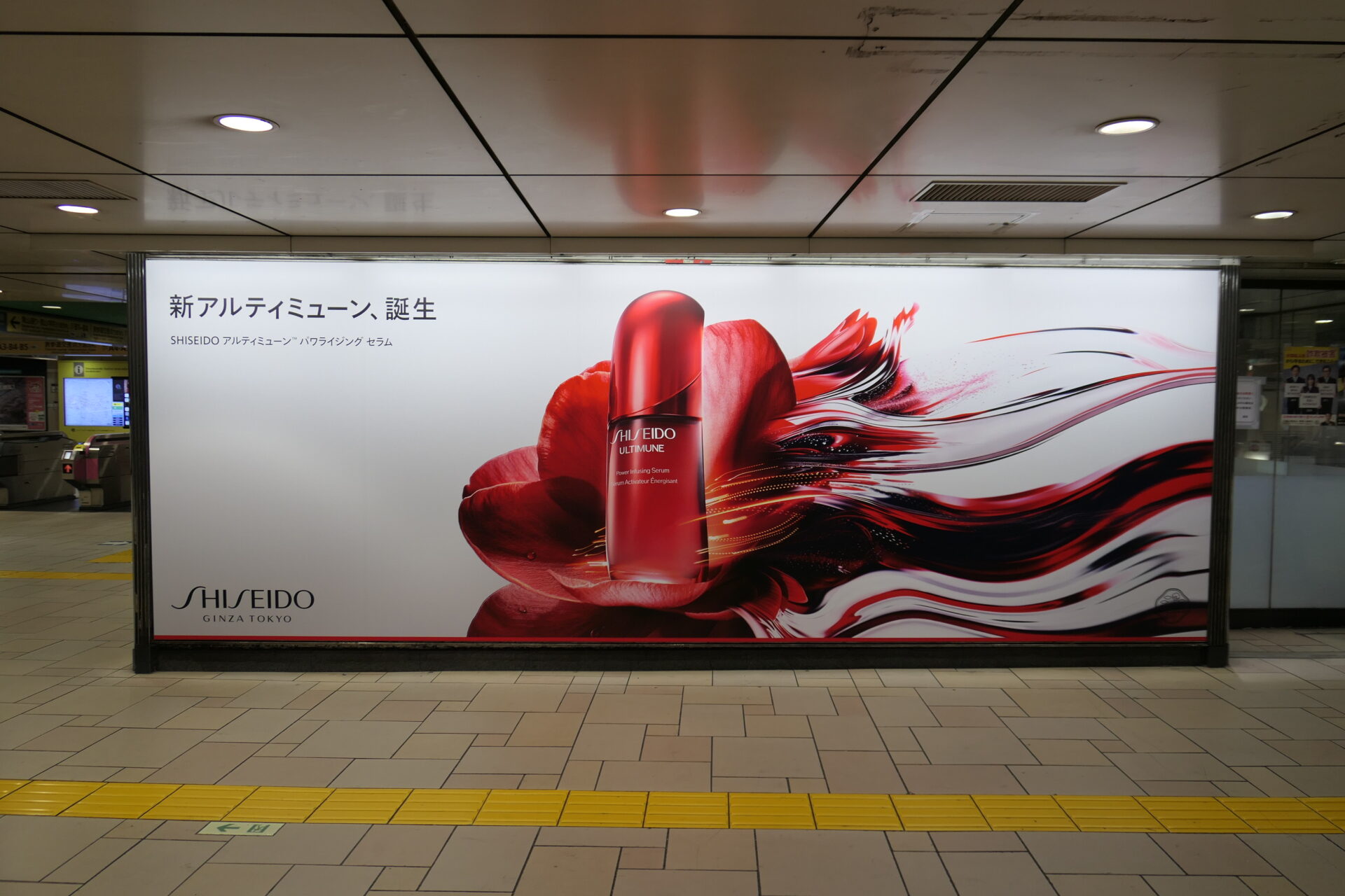 表参道プレミアムセット