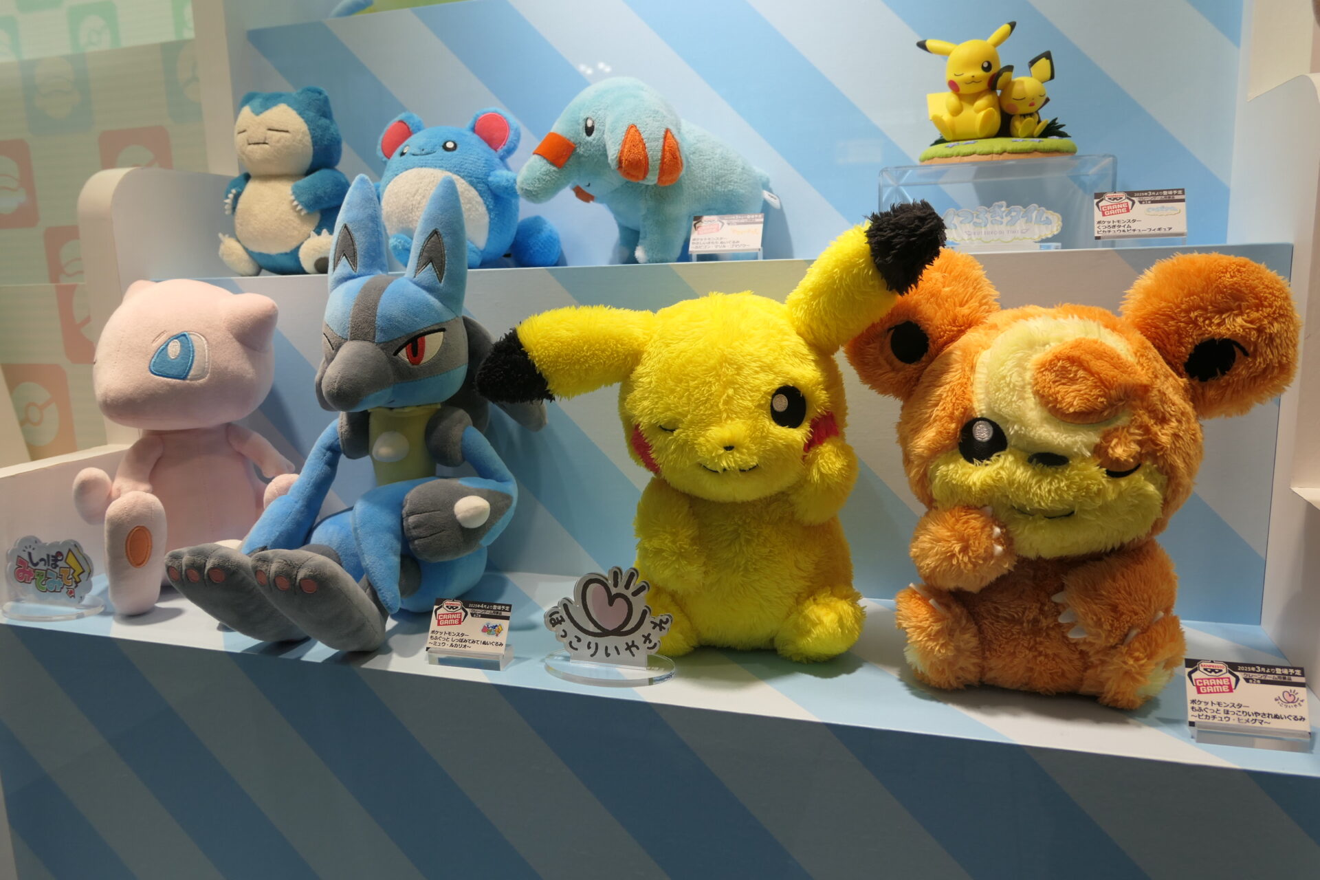 品川ショーケース