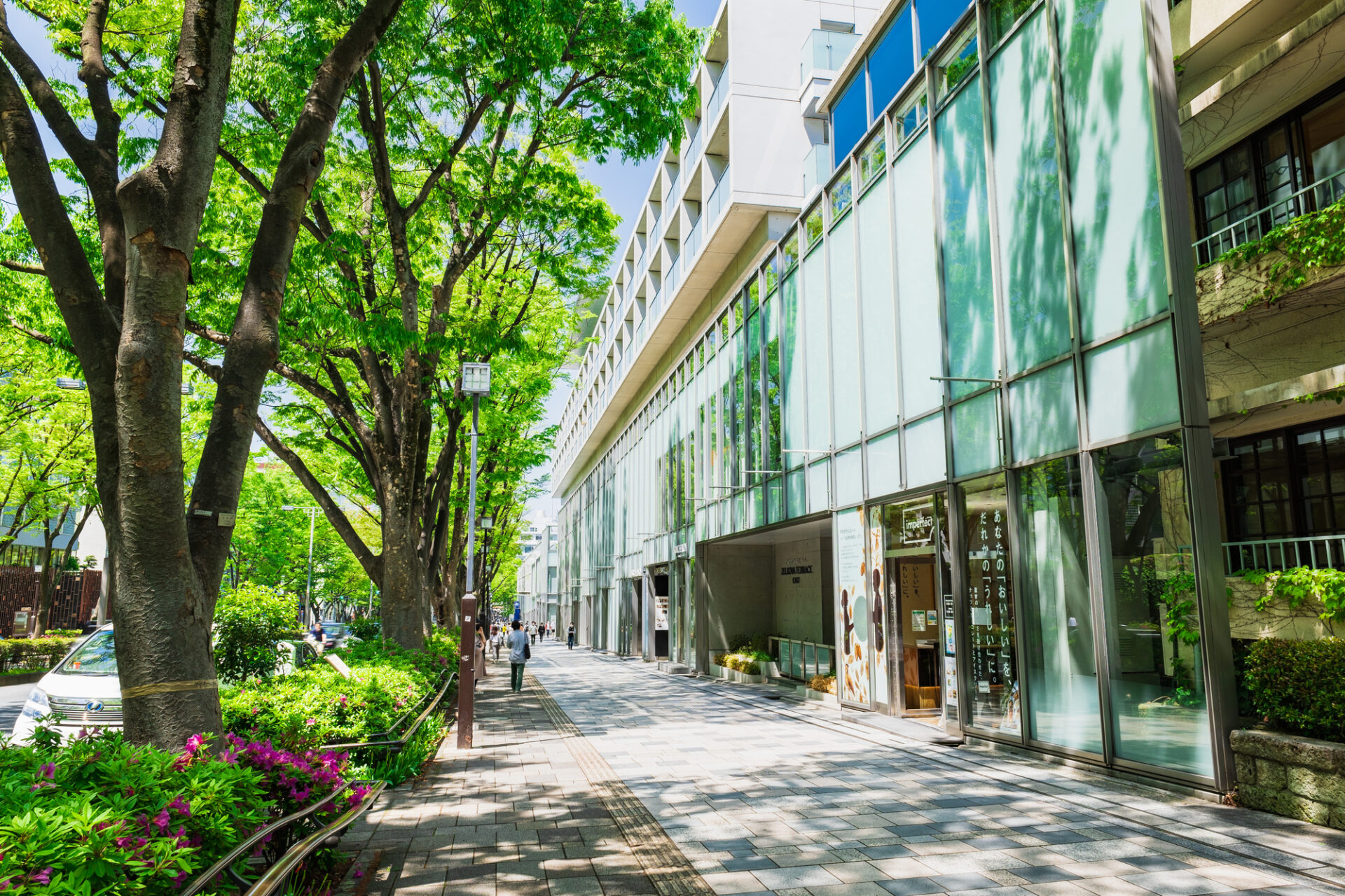 表参道ヒルズ前